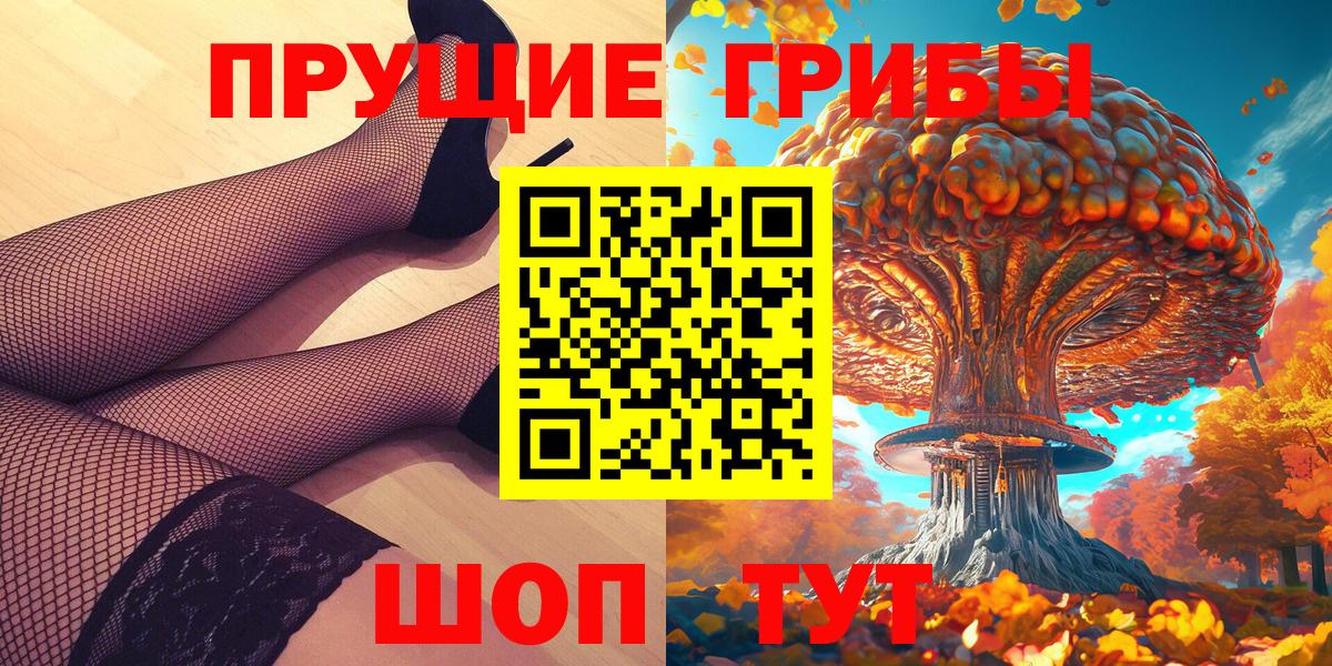 Псилоцибиновые грибы Cubensis Железногорск