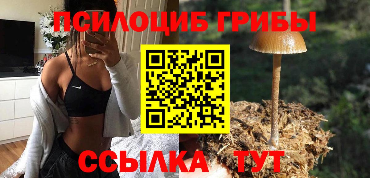 Железногорск  Галлюциногенные грибы мухоморы  Вход с VPN  Галлюциногенные грибы Cubensis 